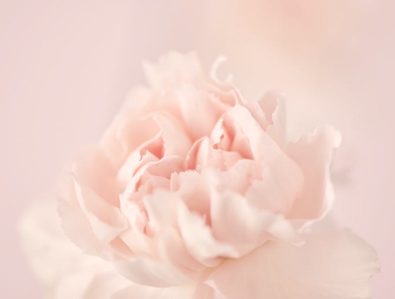 Perfecting our craft since 1985