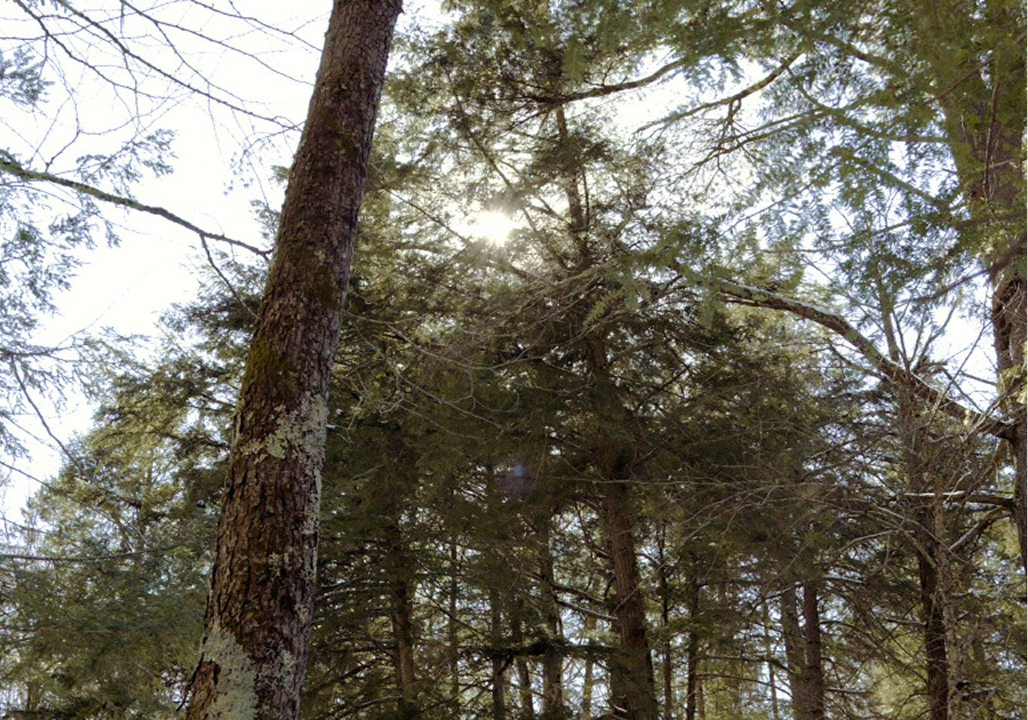 for-our-planet-dskt3