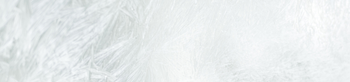 cyber-monday-tb-swim-mob