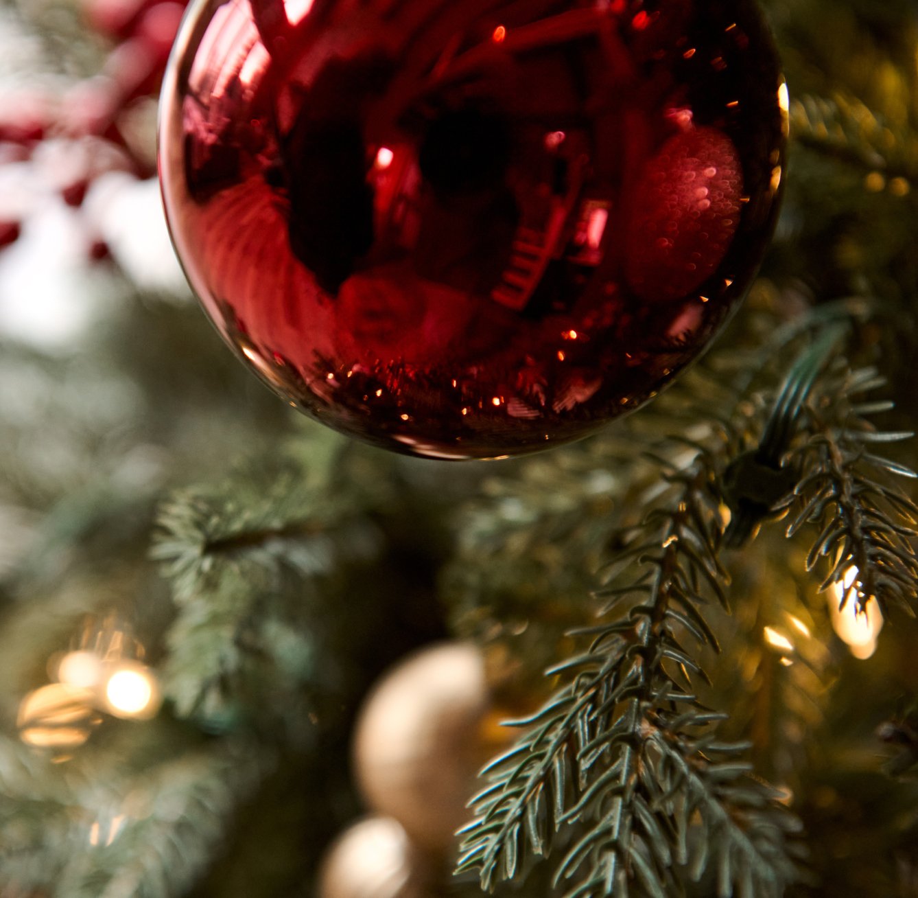 Celebrate the Season