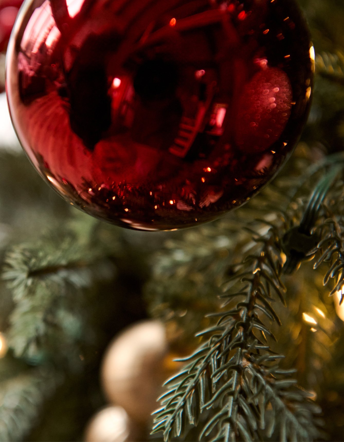 Celebrate the Season