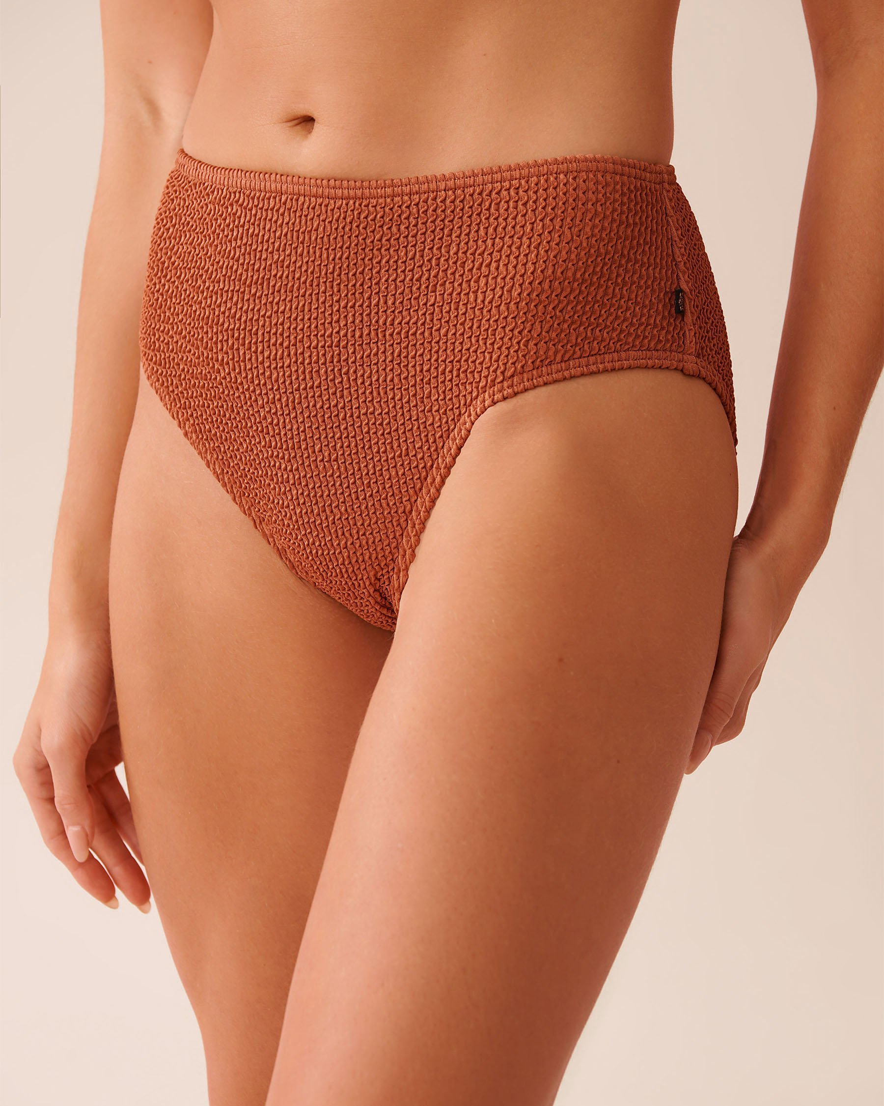 LA VIE EN ROSE AQUA TERRACOTTA Smocked Mid Waist Bikini Bottom Terracotta 70300837 - View1