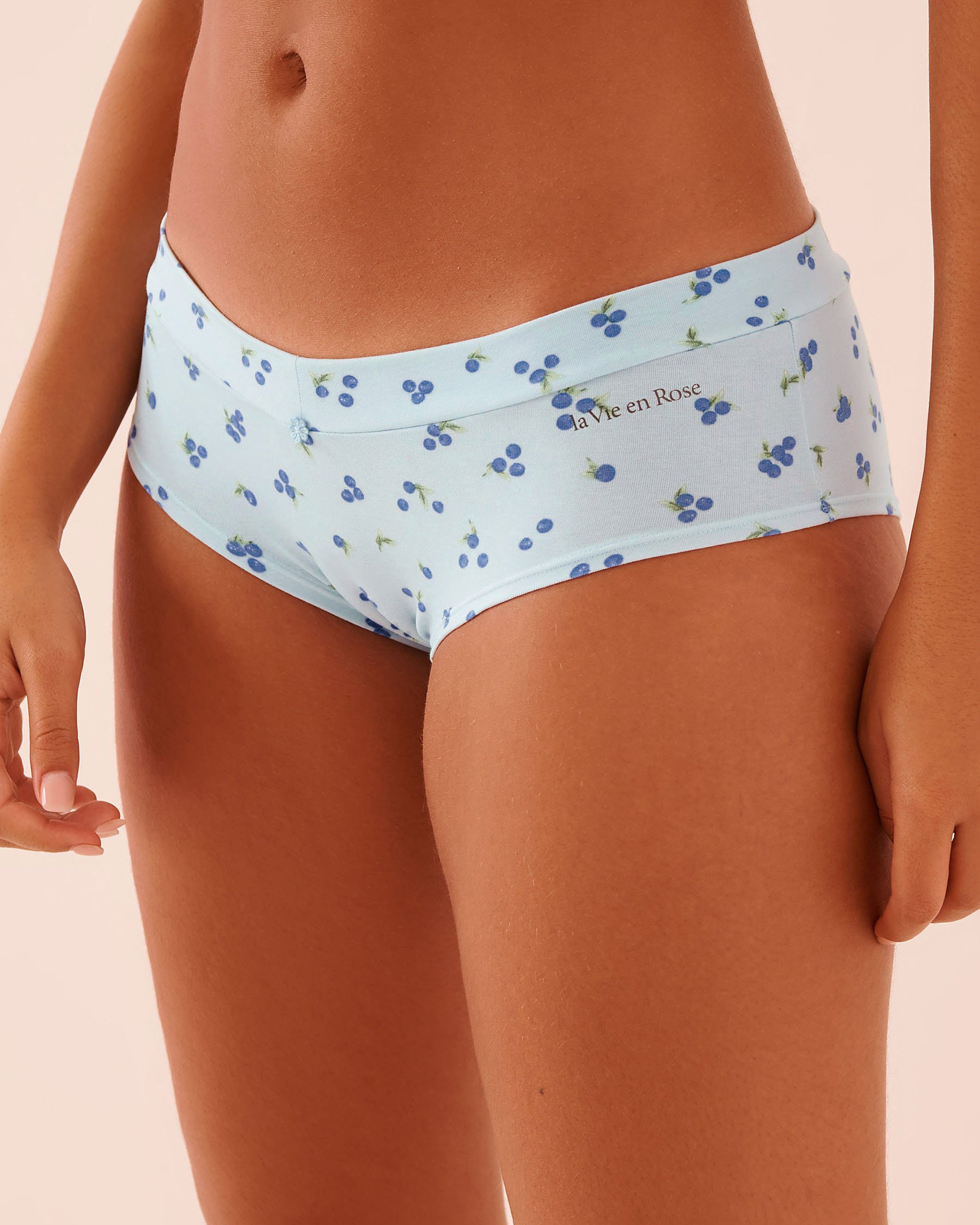 LA VIE EN ROSE Cotton Hiphugger Panty Blue/Berries 20100732 - View1